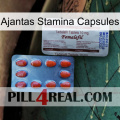 Ajantas Stamina Capsules 36